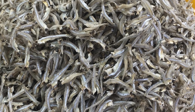 Dried anchovy 