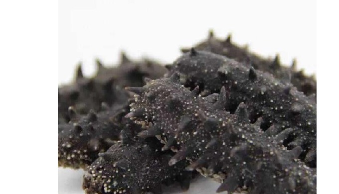 Quick Details Type: SEA CUCUMBER Style: Dried Feature: NATURE Grade: A, B Shelf Life: 2 Years Place ...