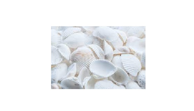 Use: Cattle, Fish, Horse, Pig Admixture (%): 1 Moisture (%): 12 Grade: 1 Packaging: PP bag Place of ...