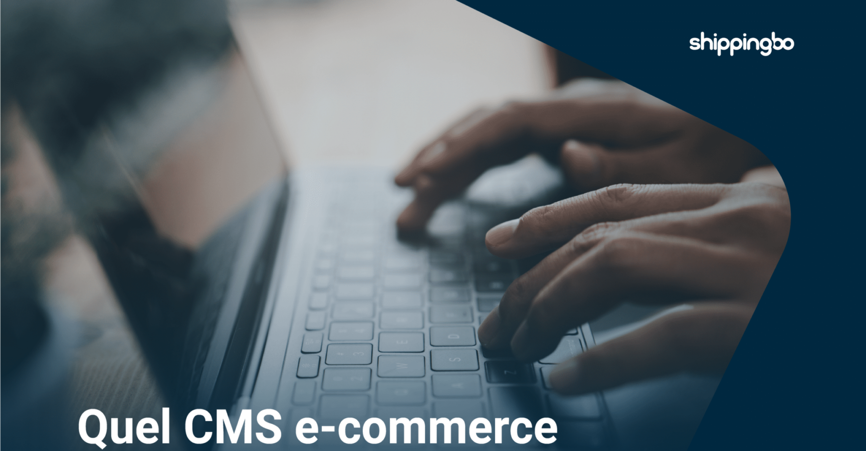 CMS & E-Commerce Development.png