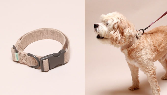 self-dyeing/created with a luxurious, natural-coloured dog choke. It is a soft, rigid material that ...