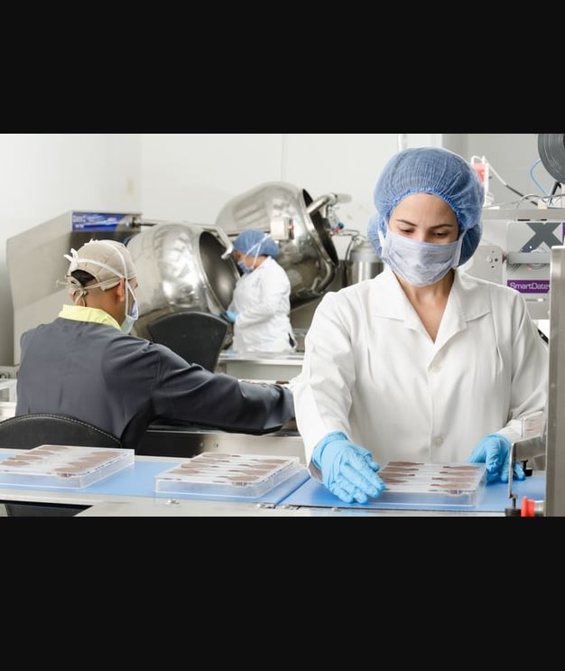 Expertises sectorielles de Médiane Conseil en solution de recrutement