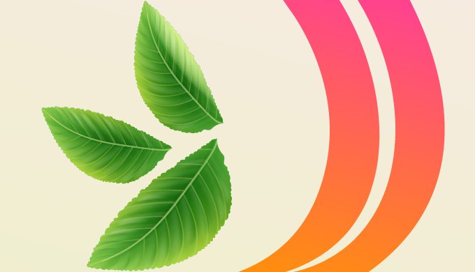 Manufacturers of 100% pure Menthol, Essential Oils, Spices, Seeds & Extracts We procure Ethanol ...