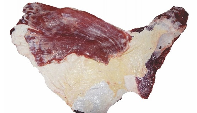 ORGANICA HALAL FROZEN AGRO FOOD. has recently set up an Abattoir-cum-meat processing plant in jaipur...