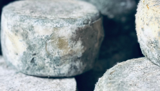tomme de brebris fermière au lait cru