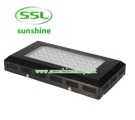 1. 165W LED plant par38 include a 55 pieces of 3WLEDs (50 pcs Red LEDs and 5pcs Blue LEDs) 2. High e...