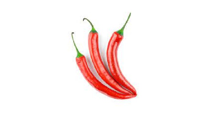Fresh and grown by organic method chilli with natural redness and spiciness