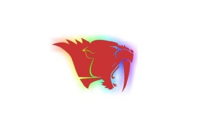 The East Essex Sabres are an American football club based in Benfleet, Essex, established in 2015. W...