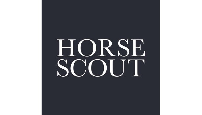 HorseScoutdesign.com provide great quality products such as wall art and fashion which are personali...
