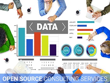 Nous’ dedicated Center of Competency team with experienced open source technology consultants offer ...