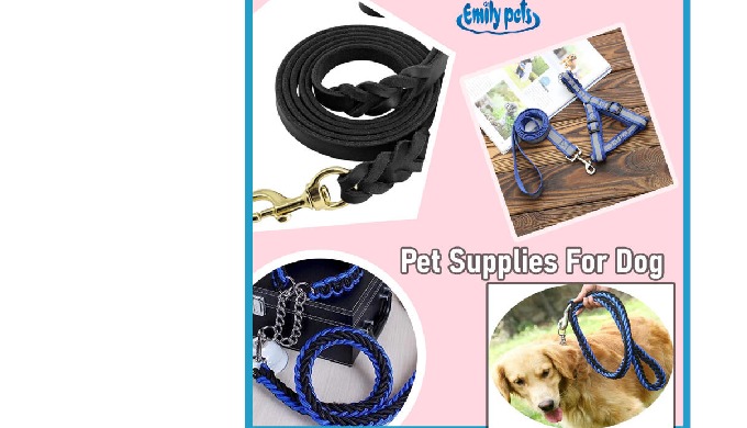 Emily Pets provide dog leashes diaper collars apparel carrier harness feeders necklace toys accessor...