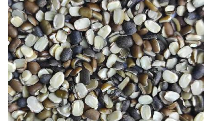 Black Split Dal (Split Urad Dal)
