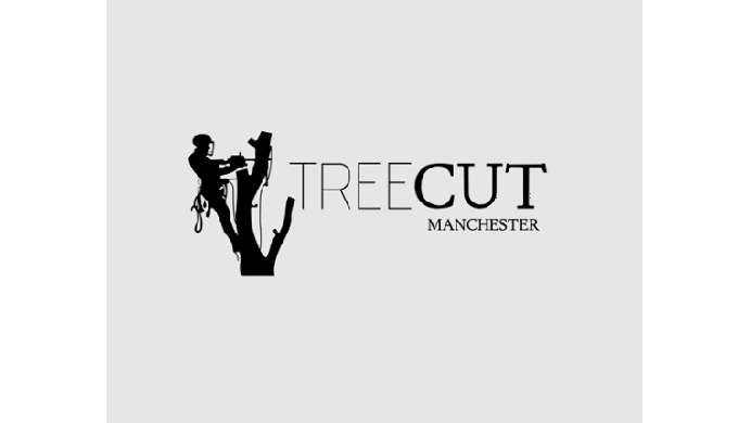 Tree Surgeon, Tree Removal, Tree Pruning, Hedge Pruning