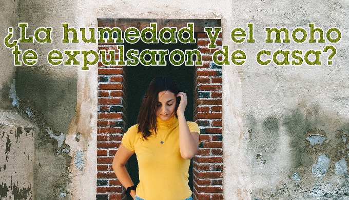 Cactus Humedades, los expertos en manejo de humedades en las viviendas. Diagnostico 100% Gratuito. F...