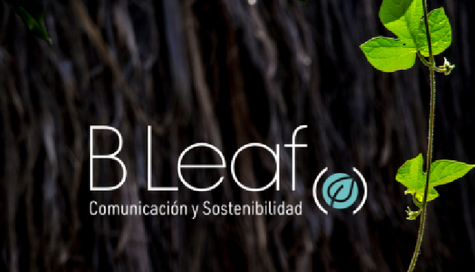 Nuestros servicios técnicos, creativos, digitales y audiovisuales se combinan para transmitir y perc...