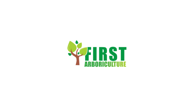 Tree surgery is a specialist type of arboriculture which focuses on the care, maintenance and manage...
