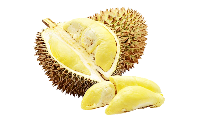 Color : Light yellow to yellow Odor and flavor : Typical of fresh Durian Brix : Min .26 Total count ...