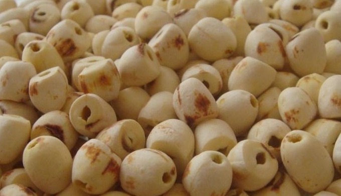 Style: Dried Type: Lotus Root Processing Type: Peeled Drying Process: AD Cultivation Type: COMMON Pa...
