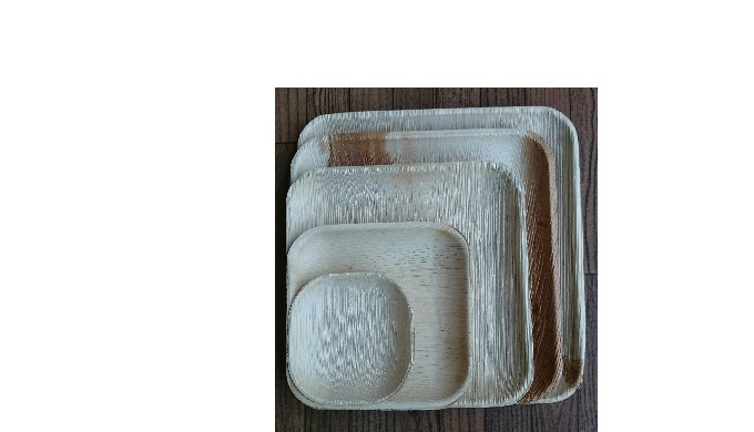 Manufacturer of Areca Palm leaf Plates