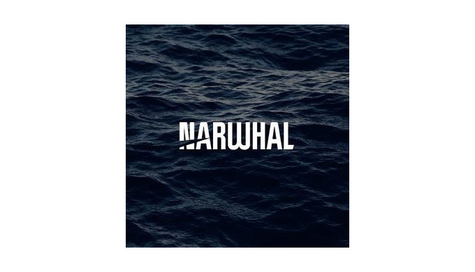 Narwhal Media Group (NMG) brings together a team of branding, marketing, and design experts to provi...