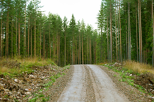 Har du ett välunderhållet vägnät på din fastighet ökar det värdet på din sk...