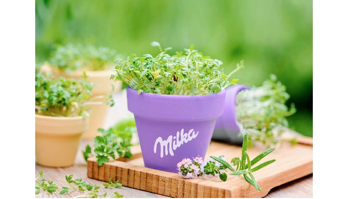 fabricacion de macetas con color pantone personalizado