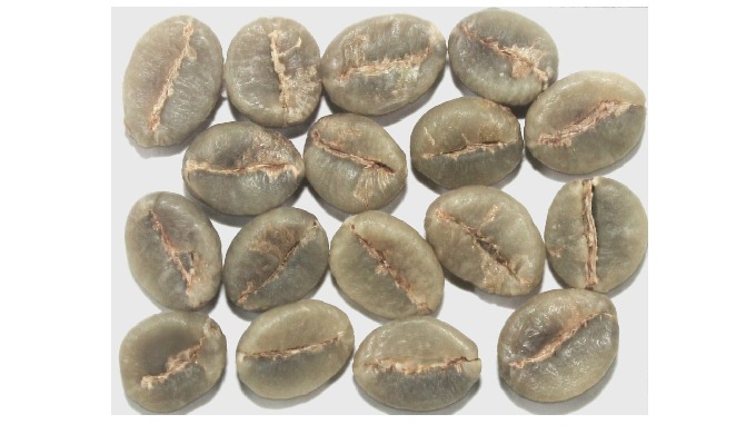 Indian Robusta green coffee beans are valued for their bold body, strong aroma, and high consistency...