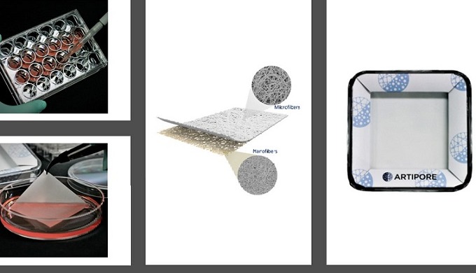 ◈ BILAMINATE is a three-dimensional cell culture support composed of biocompatible nanofibers(ultraf...