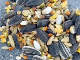Graines pour oiseaux