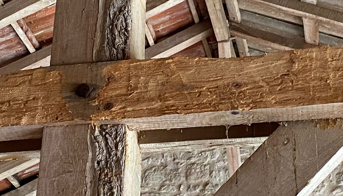 Traitement des bois de charpente contre les insectes à larves xylophages nuisibles pour nos bois de ...