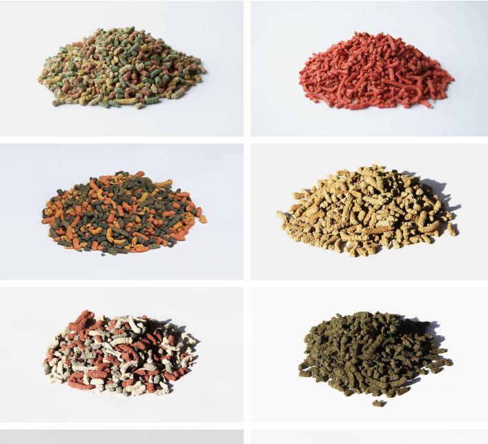 Granulation à froid « Type pharma »