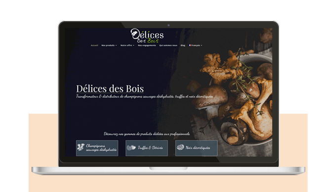 La création de site internet professionnel constitue le point de départ de toute stratégie en ligne....