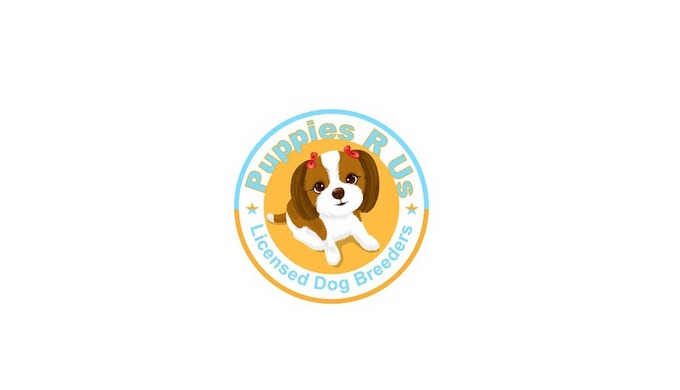 We Are Passionate About Dogs. Puppies R Us are a family run, fully licensed dog breeding business ba...