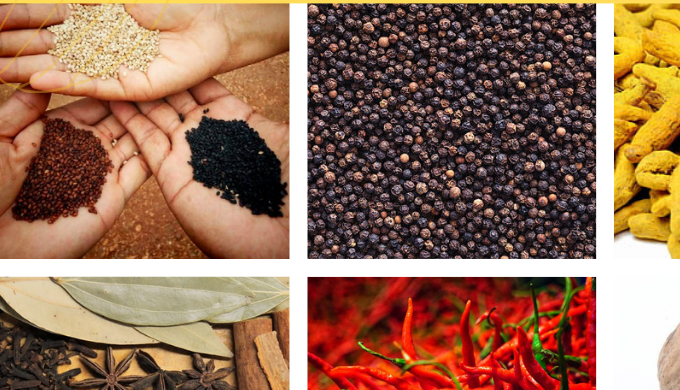 With Arputham Exports, you can now enjoy the unique flavors of Indian spices, Cavendish Bananas, and...