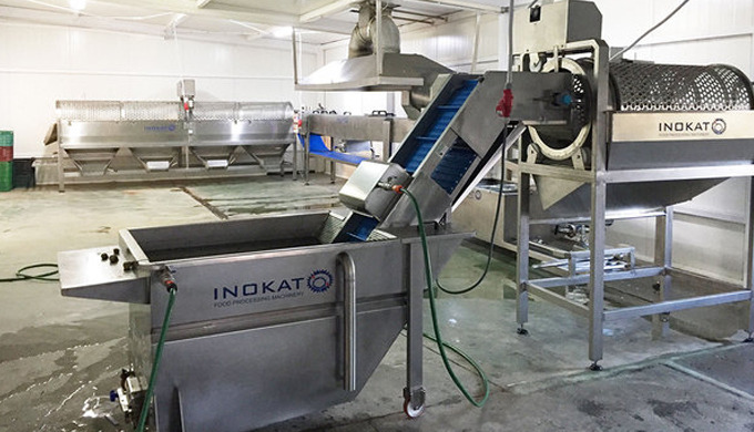 snail  - shell processing line  machineries