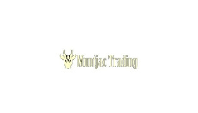 Muntjac Trading, based in the U.K are aiming to provide a choice of different variations of all gund...