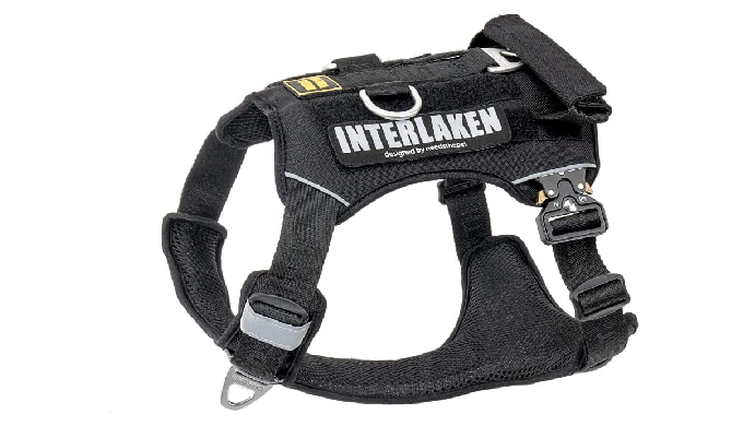 Dog Harness, No-Pull Pet Harness, Adjustable Eva Padded Dog Vest - VARIOUS SIZE - Available in a var...