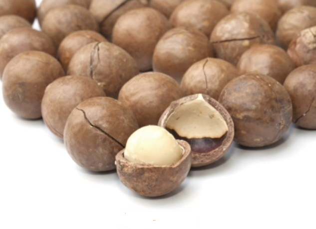 macadamia nuts contain high levels of monounsaturated fatty acids.Monounsaturated fatty acids have b...