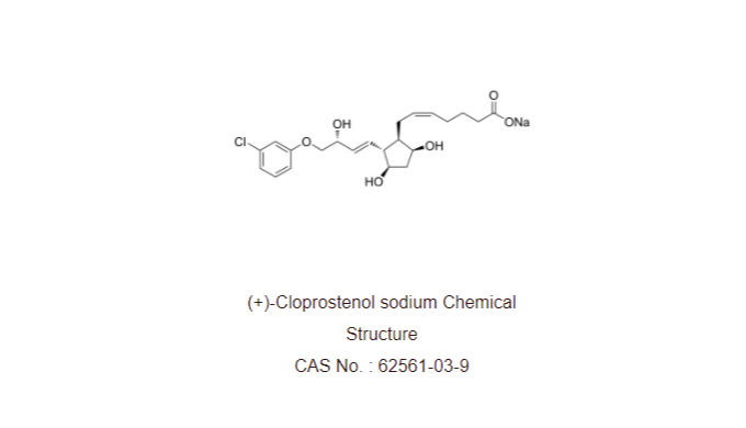 Manufactory for Bimatoprost-Travoprost-Lubiprostone-Tafluprost-Tafluprost ethyl amide-Dinoprostone-A...