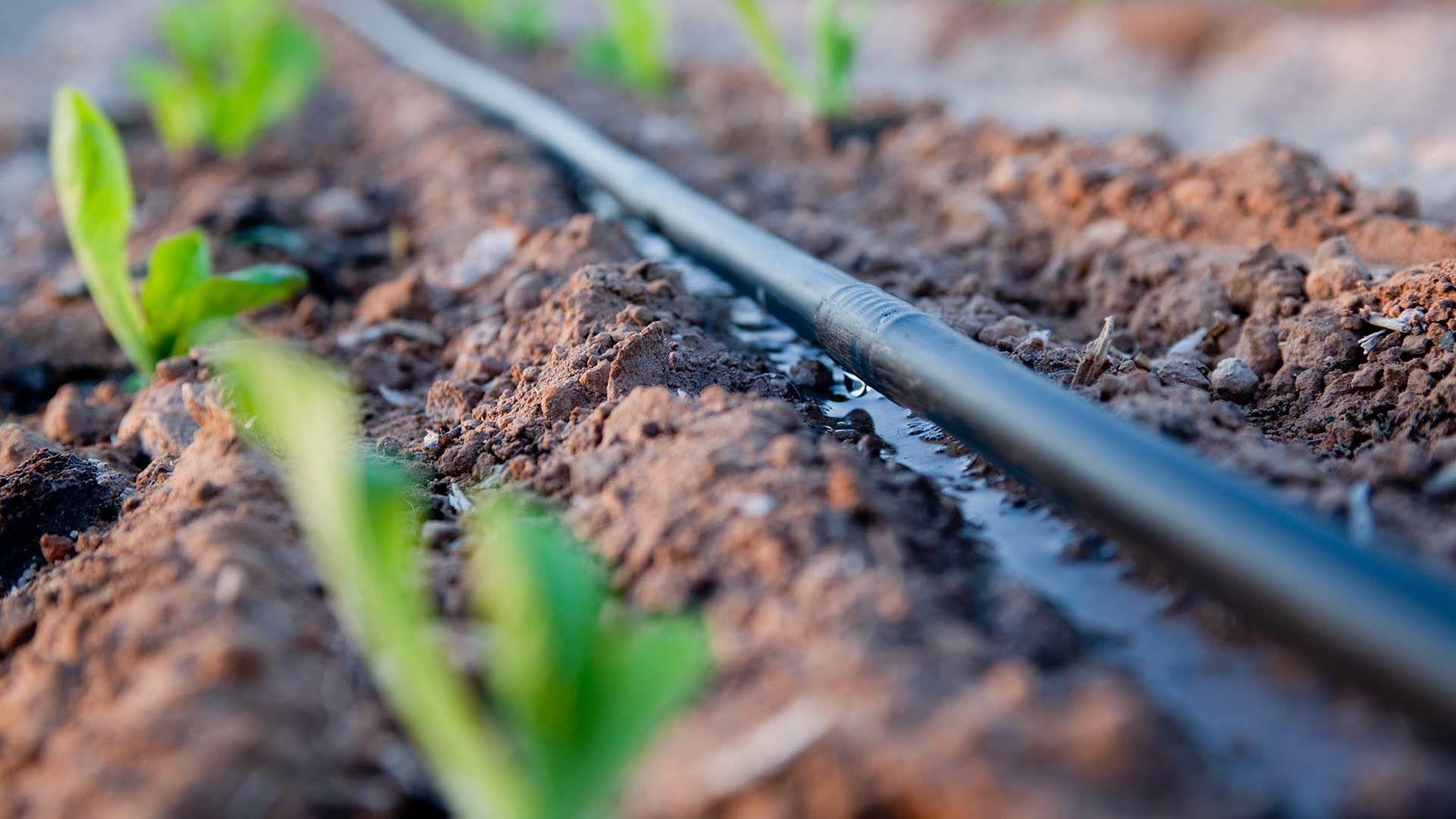 Paragon Irrigation Pvt. Ltd. offers advanced Drip Irrigation Systems engineered to deliver precise w...