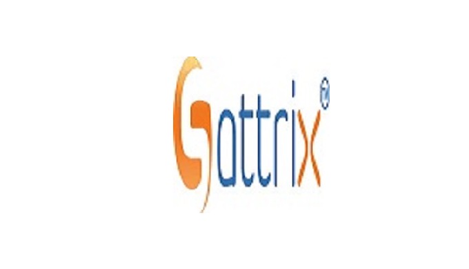 Sattrix Information Security Incorporation is a professionally driven & value-based, quality-ori...
