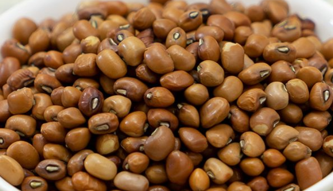 Buy premium Moth Beans (Matki) from Shri Shyam Corporation, a leading Indian supplier of quality agr...