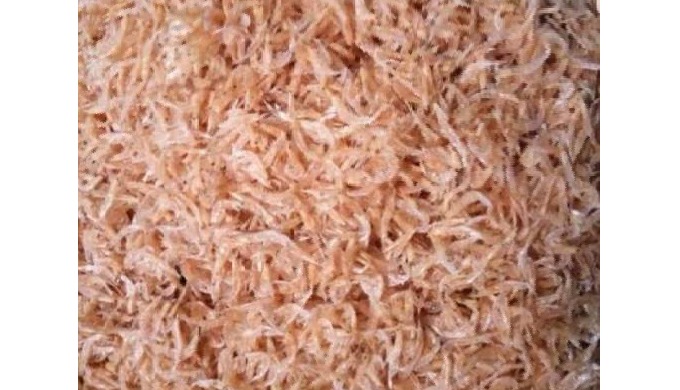 Type: Shrimp Variety: Black Tiger Shrimp Style: Dried Processing Type: Fried Packaging: Bag Drying P...