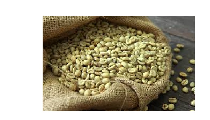 VIEGO is an established Sourcing and Trading company based in Vietnam. With its presence at the fact...