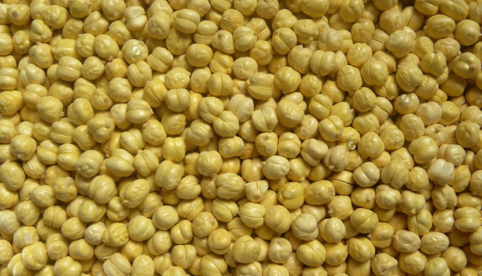 Buy premium Roasted Gram (With & Without Skin) from Shri Shyam Corporation, a leading Indian sup...