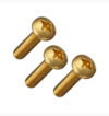 Brass Head Screws