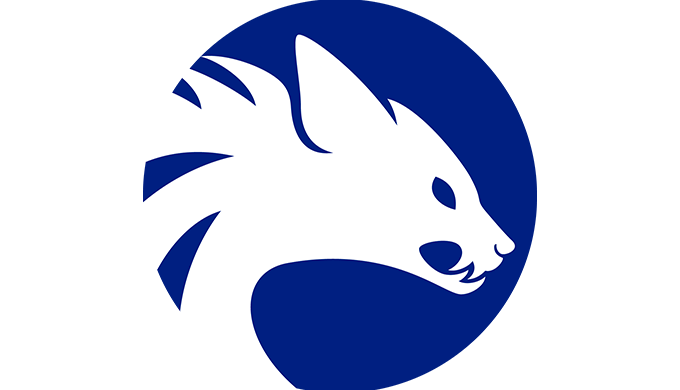 Aardwolf security are a consultancy that provide both automated and manual penetration testing servi...