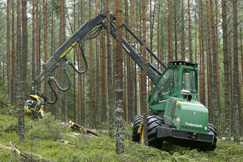 Framtidens skog formas genom bra gallring. Låt oss hjälpa dig svara på fråg...