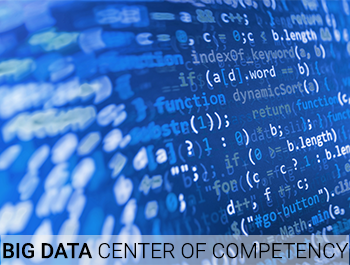Nous' dedicated Center of Competency (CoC) for Big Data, provides Big Data consulting services with ...