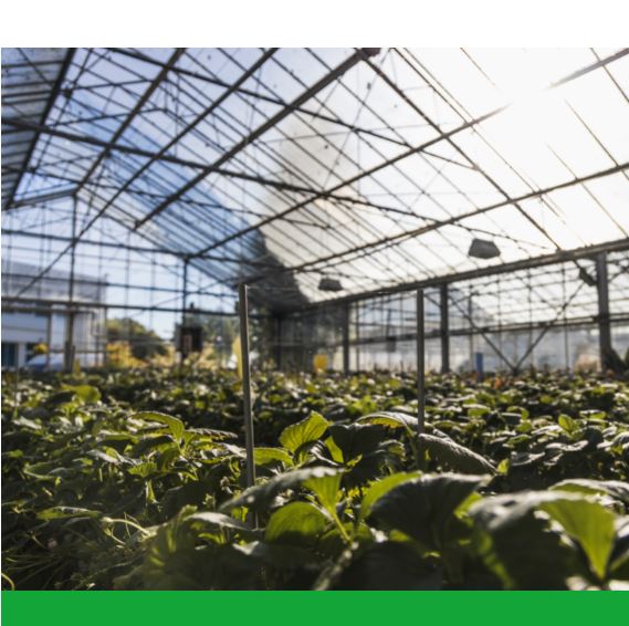 Nous vous proposons une formation en Bac Sciences et technologies de l’agronomie et du vivant le bac...